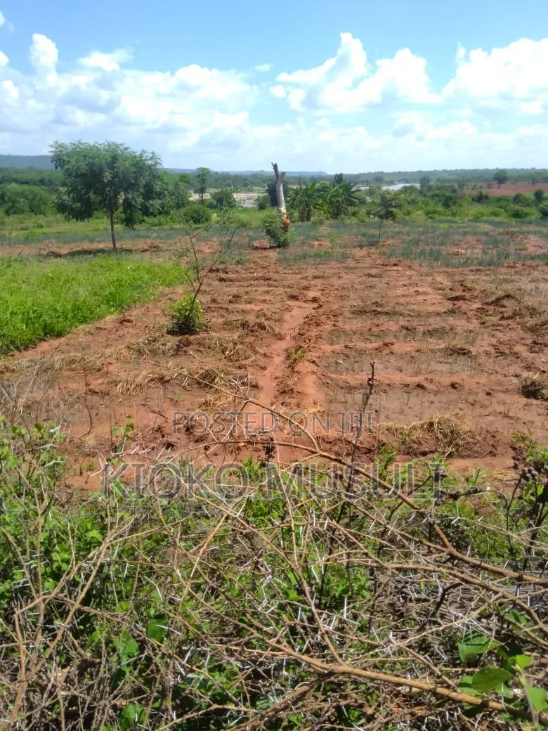 Ten Acres on Sale