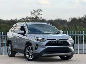 Toyota RAV4 LE AWD 2019 Silver