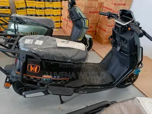 Adult Electric Scooter