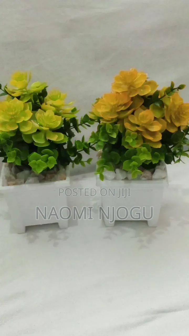 Beautiful Decor