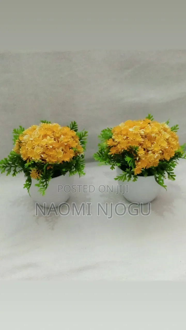 Beautiful Decor