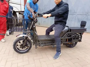 Twi Wheel Electric Cargo Loader