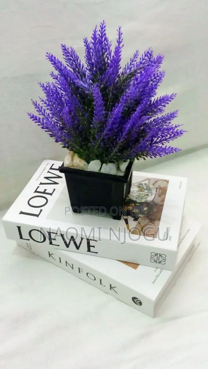 Beautiful Decor