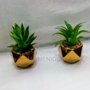 Beautiful Decor