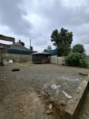 3bdrm Bungalow in Zambezi/Sigona for rent