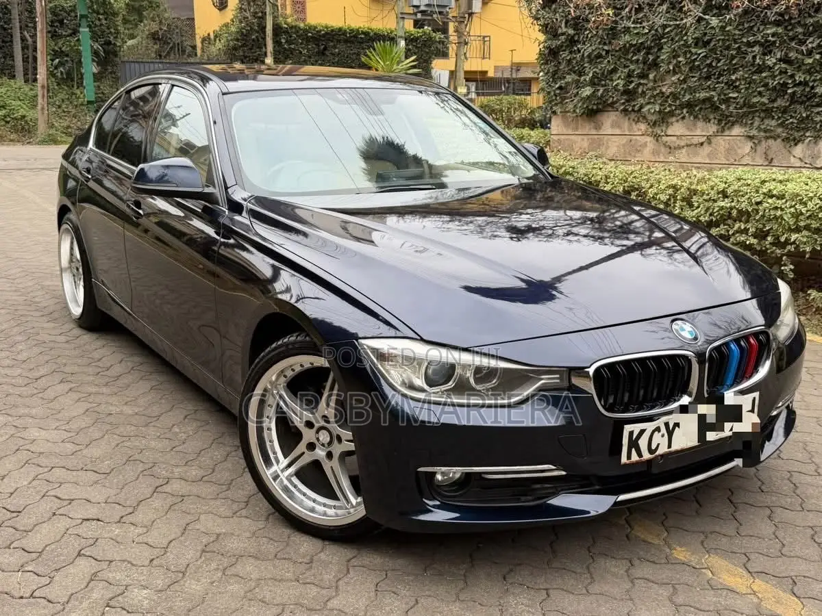 BMW 320i Sedan RWD 2013 Blue