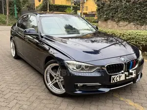 BMW 320i Sedan RWD 2013 Blue