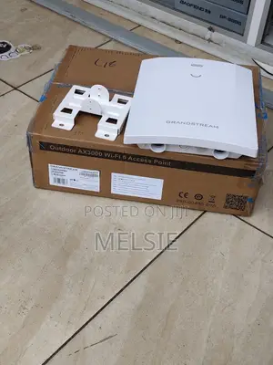 Grandstream Outdoor WiFi 6 Long Range Access Point AX3000
