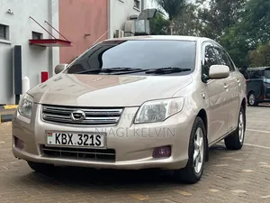 Toyota Axio 2006 Gold
