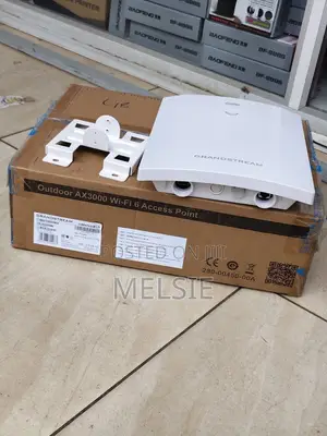 Grandstream GWN7660ELR Outdoor AX3000 Wi-Fi 6 Access Point