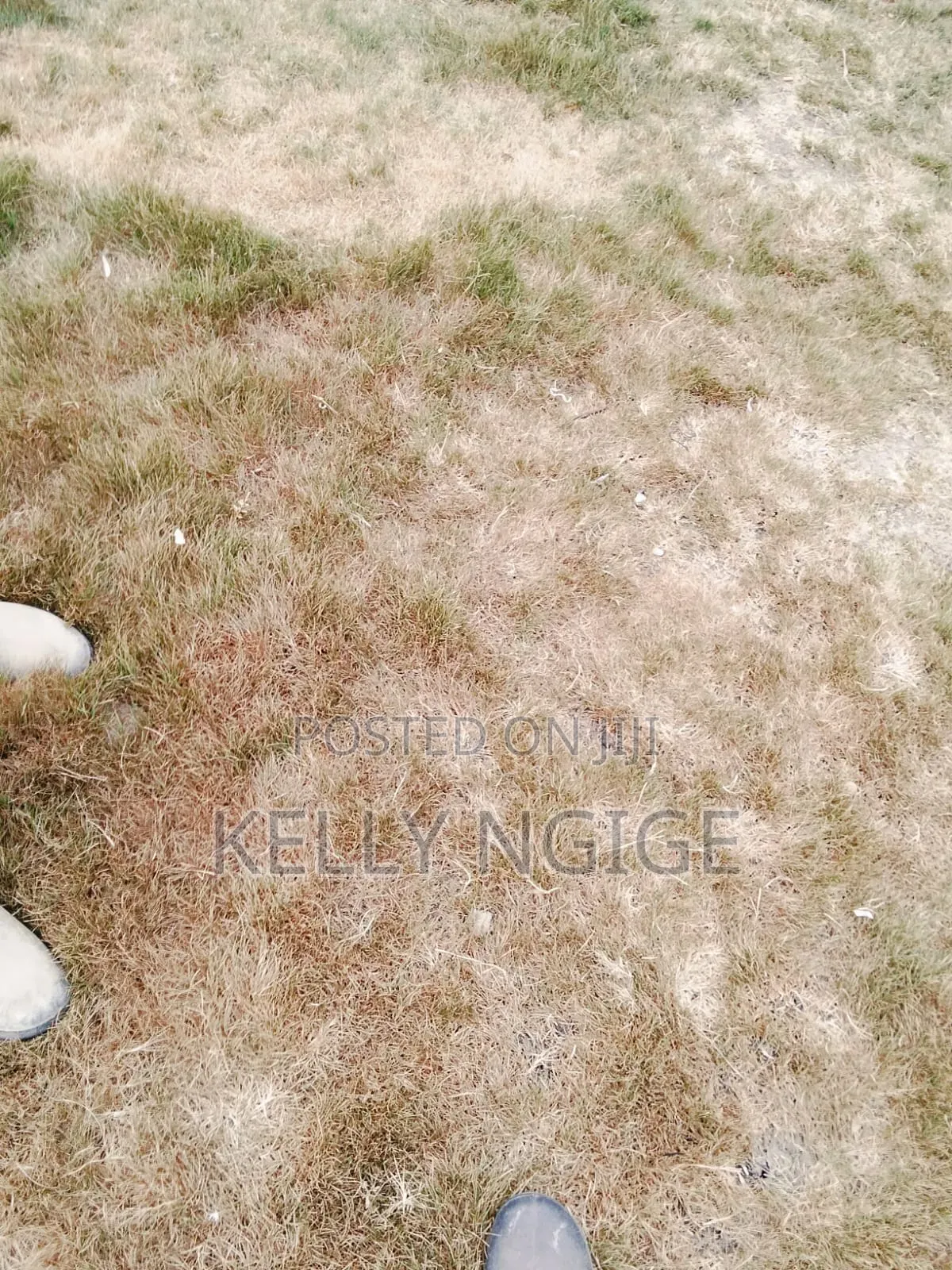Affordable Plots for Sale