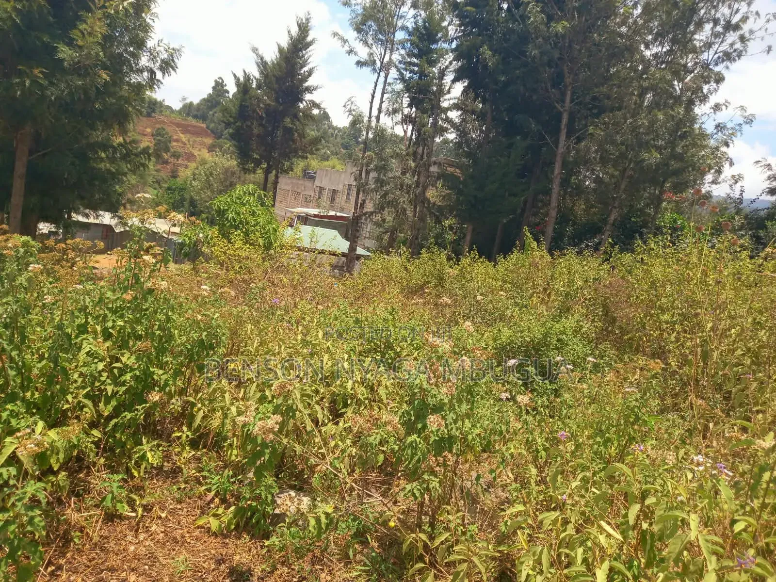 Prime 1/4 Acre Plot for Sale – Kiserian, Kaurai Road, Cianda