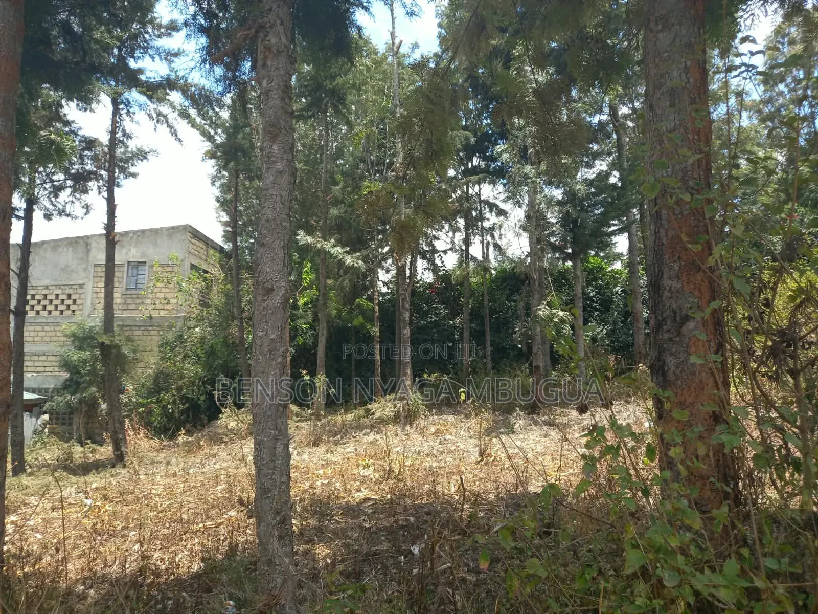 Prime 1/4 Acre Plot for Sale – Kiserian, Kaurai Road, Cianda