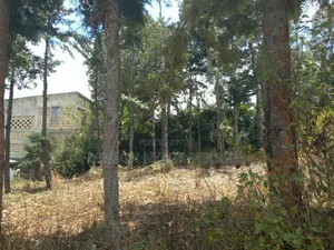 Prime 1/4 Acre Plot for Sale – Kiserian, Kaurai Road, Cianda