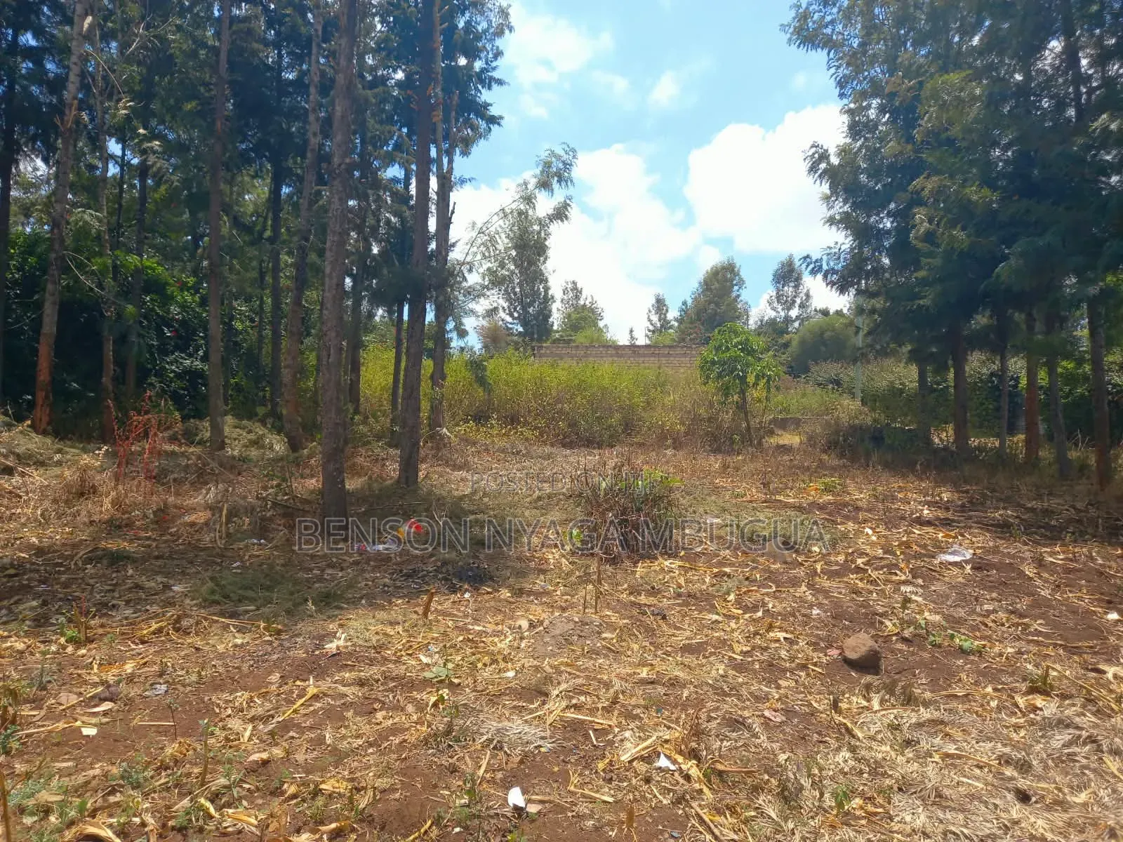 Prime 1/4 Acre Plot for Sale – Kiserian, Kaurai Road, Cianda
