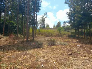Prime 1/4 Acre Plot for Sale – Kiserian, Kaurai Road, Cianda