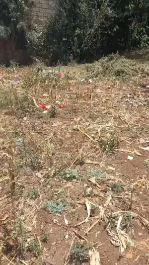 Prime 1/4 Acre Plot for Sale – Kiserian, Kaurai Road, Cianda