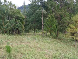 1 Acre and Hal Land on Sale at Wundanyi Mbengonyi