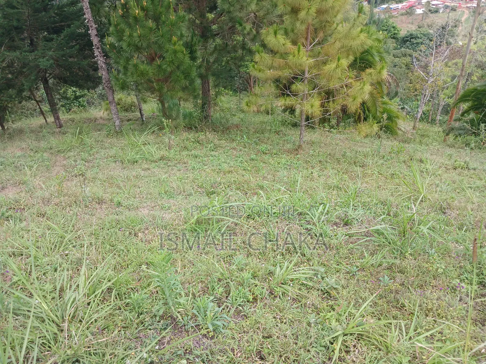 1 Acre and Hal Land on Sale at Wundanyi Mbengonyi