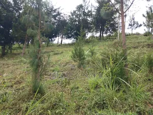 1 Acre and Hal Land on Sale at Wundanyi Mbengonyi