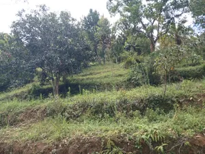 1 Acre and Hal Land on Sale at Wundanyi Mbengonyi