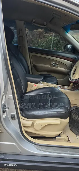 Nissan Sylphy 2010 Gray