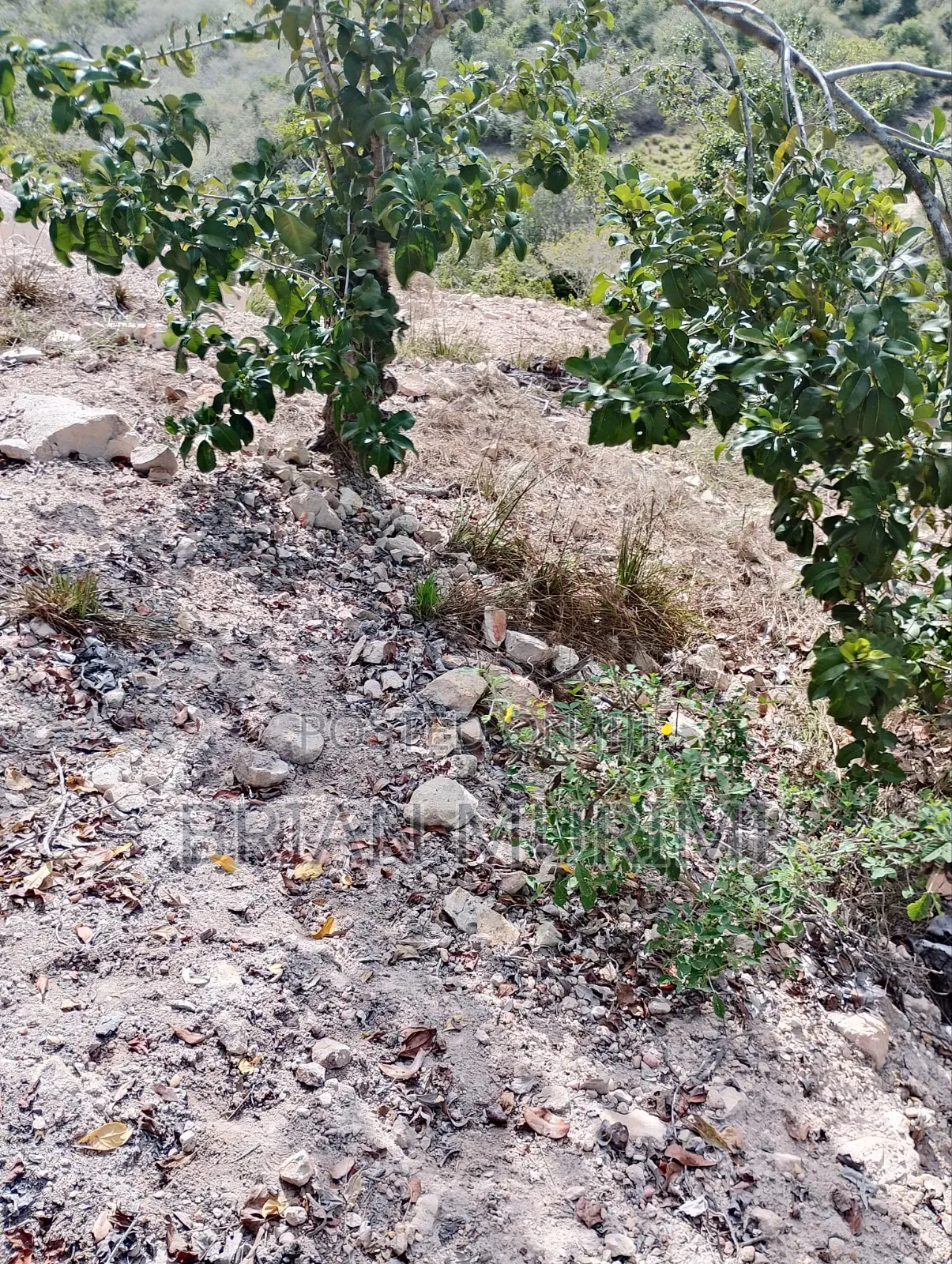 Marereni 1000 Acres on Sale