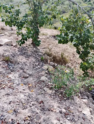 Marereni 1000 Acres on Sale