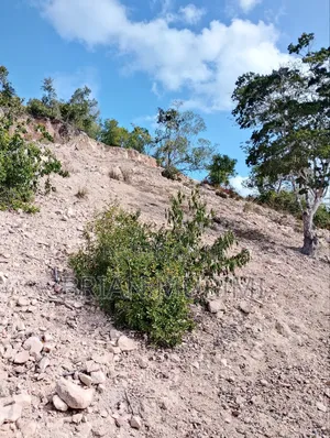 Marereni 1000 Acres on Sale