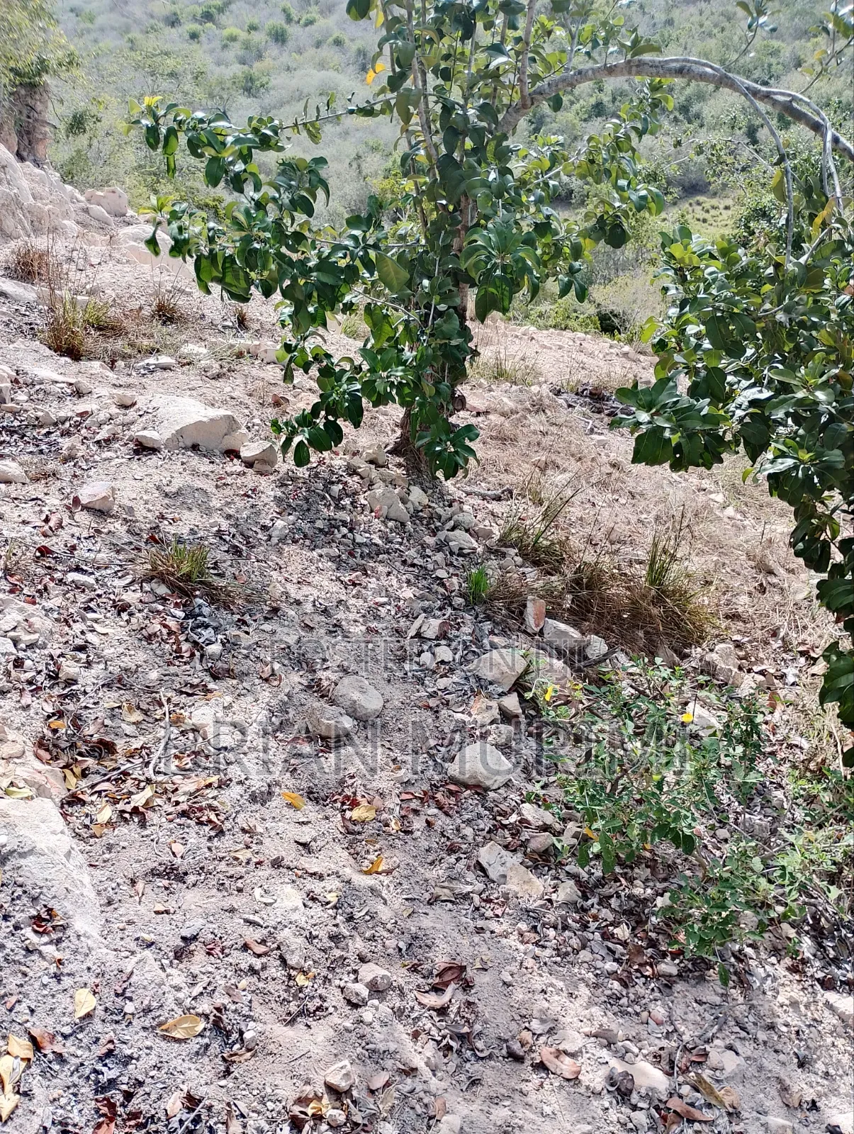 Marereni 1000 Acres on Sale