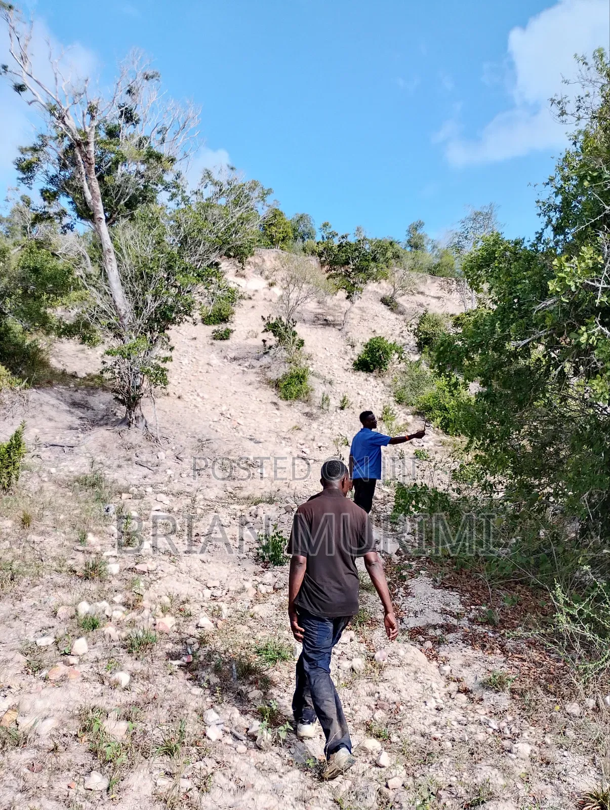 Marereni 1000 Acres on Sale