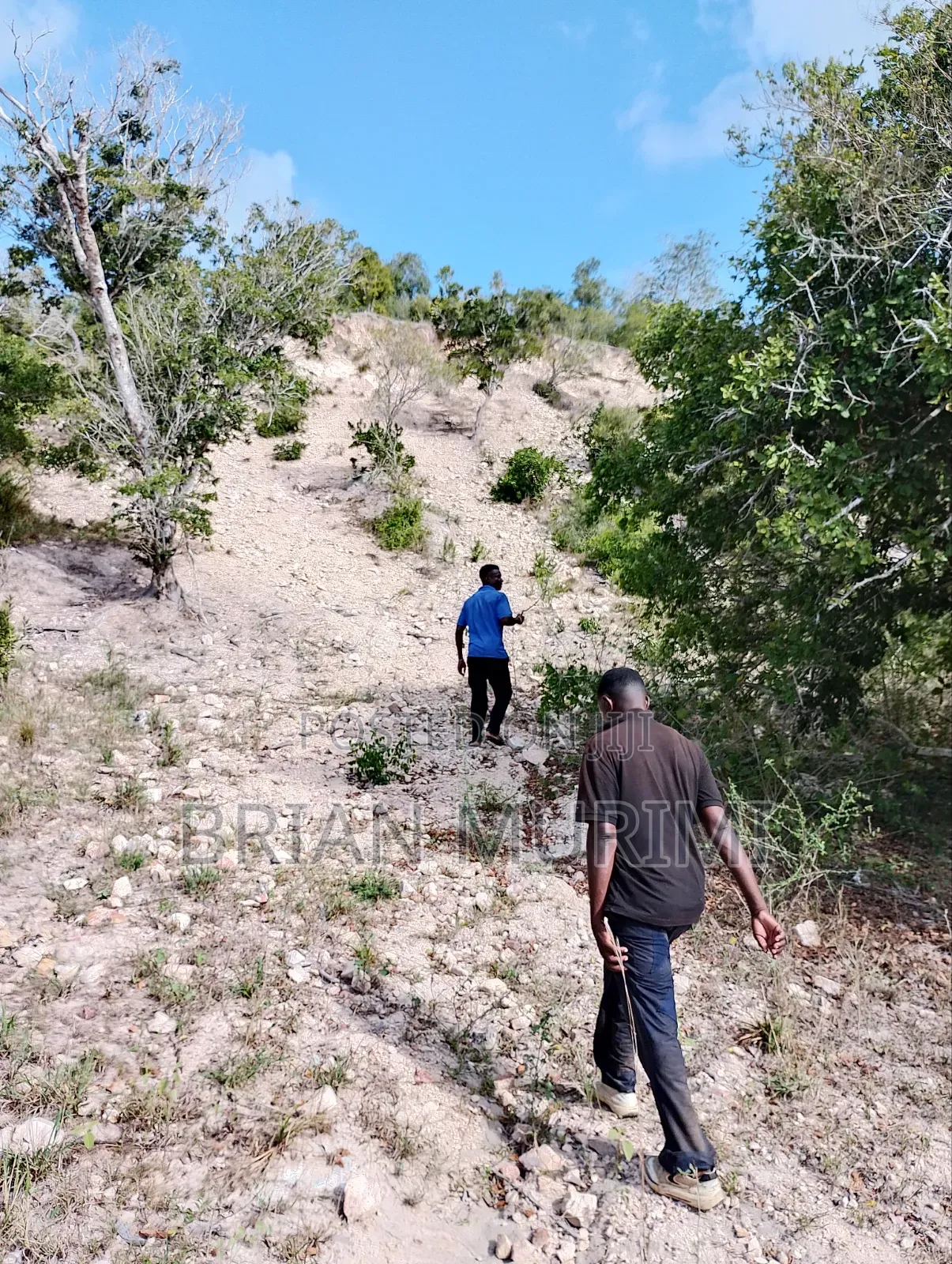 Marereni 1000 Acres on Sale