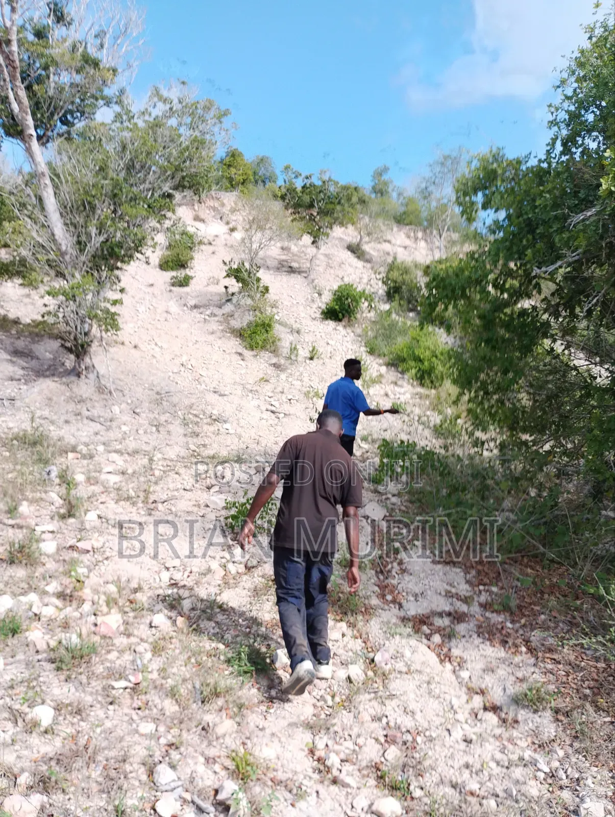 Marereni 1000 Acres on Sale