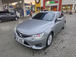 Toyota Mark X 2.5 AWD 2014 Gray