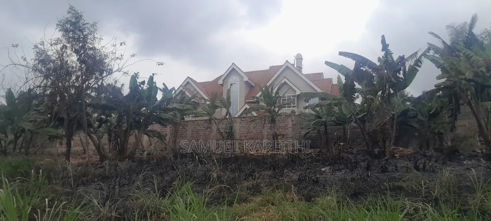 Three 50by100 Plots in Kiambu Mugumo Estate