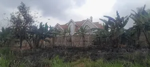 Three 50by100 Plots in Kiambu Mugumo Estate