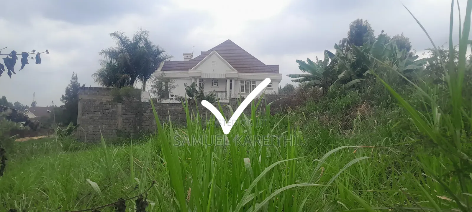Three 50by100 Plots in Kiambu Mugumo Estate