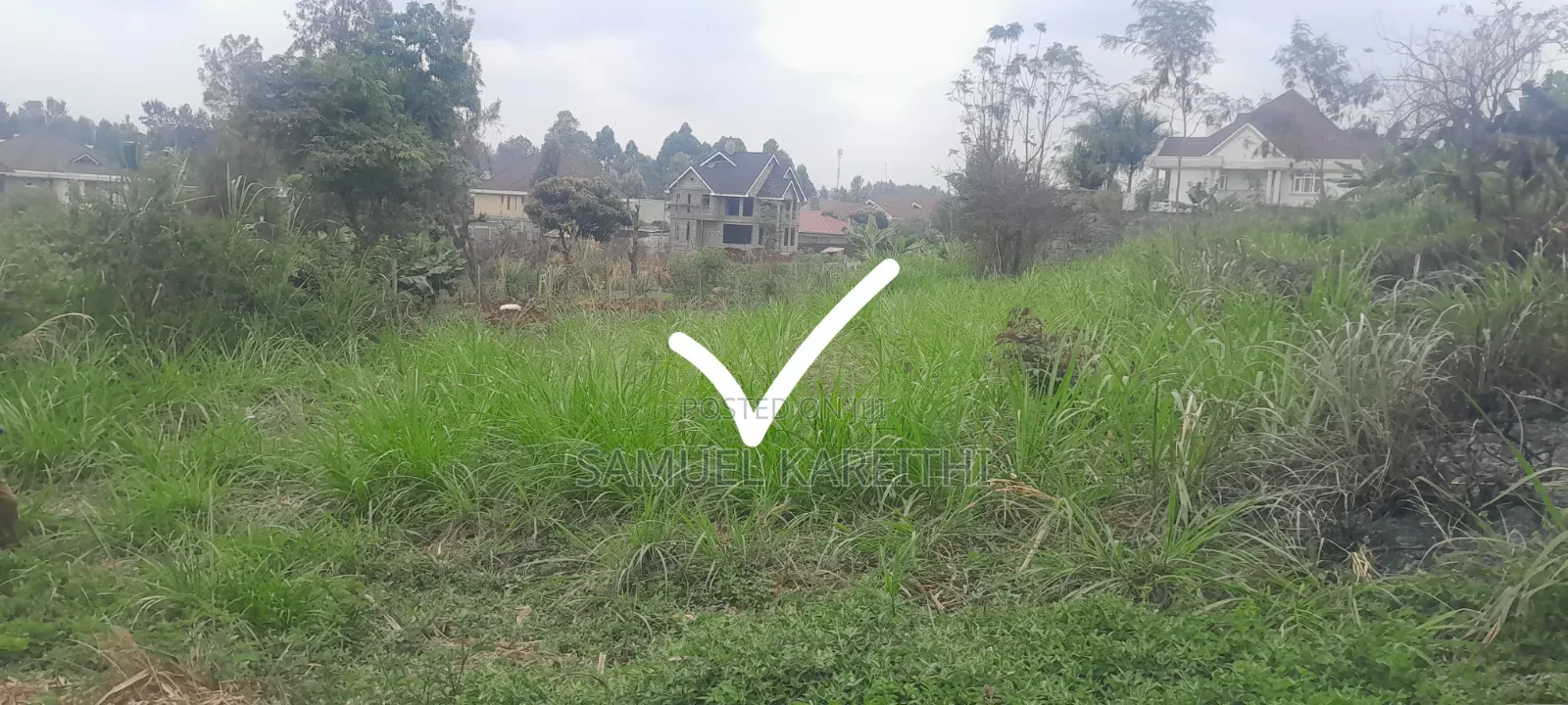 Three 50by100 Plots in Kiambu Mugumo Estate