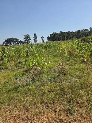 4 Acres Prime Land for Sale Near Kitale Airstrip4 Acres Land for Sale