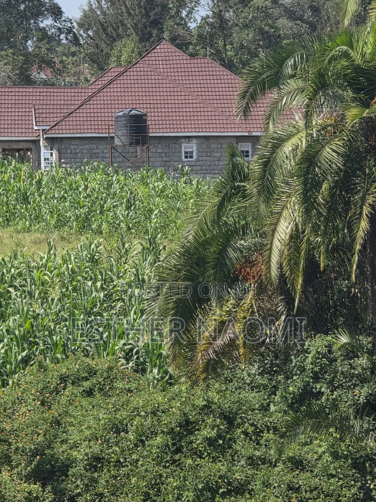 4 Acres Prime Land for Sale Near Kitale Airstrip4 Acres Land for Sale