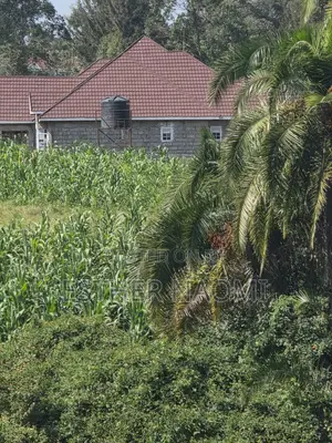 4 Acres Prime Land for Sale Near Kitale Airstrip4 Acres Land for Sale