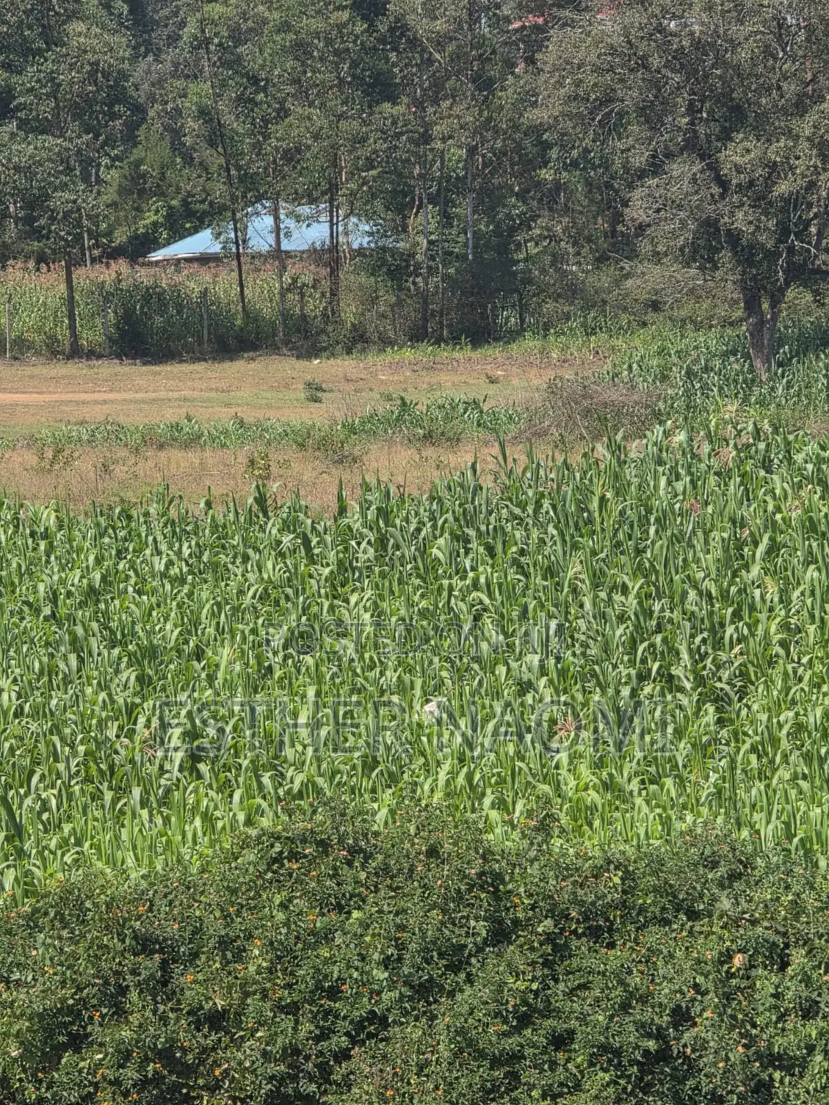4 Acres Prime Land for Sale Near Kitale Airstrip4 Acres Land for Sale