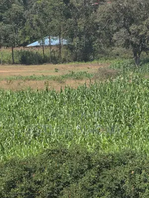 4 Acres Prime Land for Sale Near Kitale Airstrip4 Acres Land for Sale