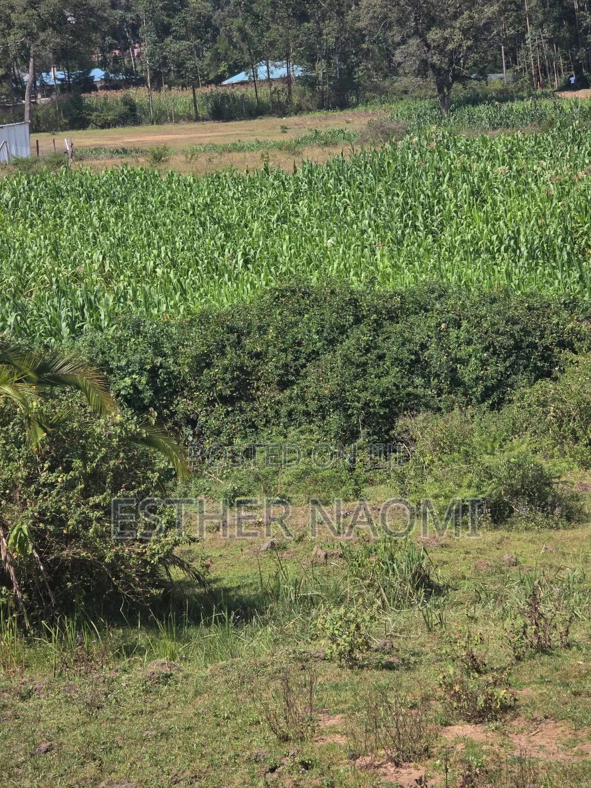 4 Acres Prime Land for Sale Near Kitale Airstrip4 Acres Land for Sale