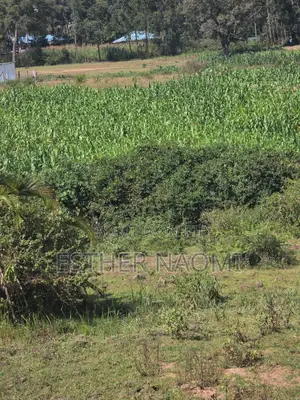 4 Acres Prime Land for Sale Near Kitale Airstrip4 Acres Land for Sale