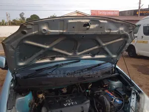 Toyota Raum 2006 Blue