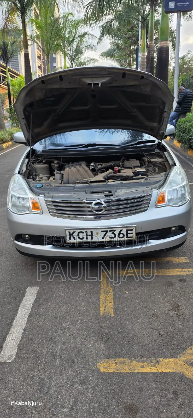 Nissan Sylphy 2010