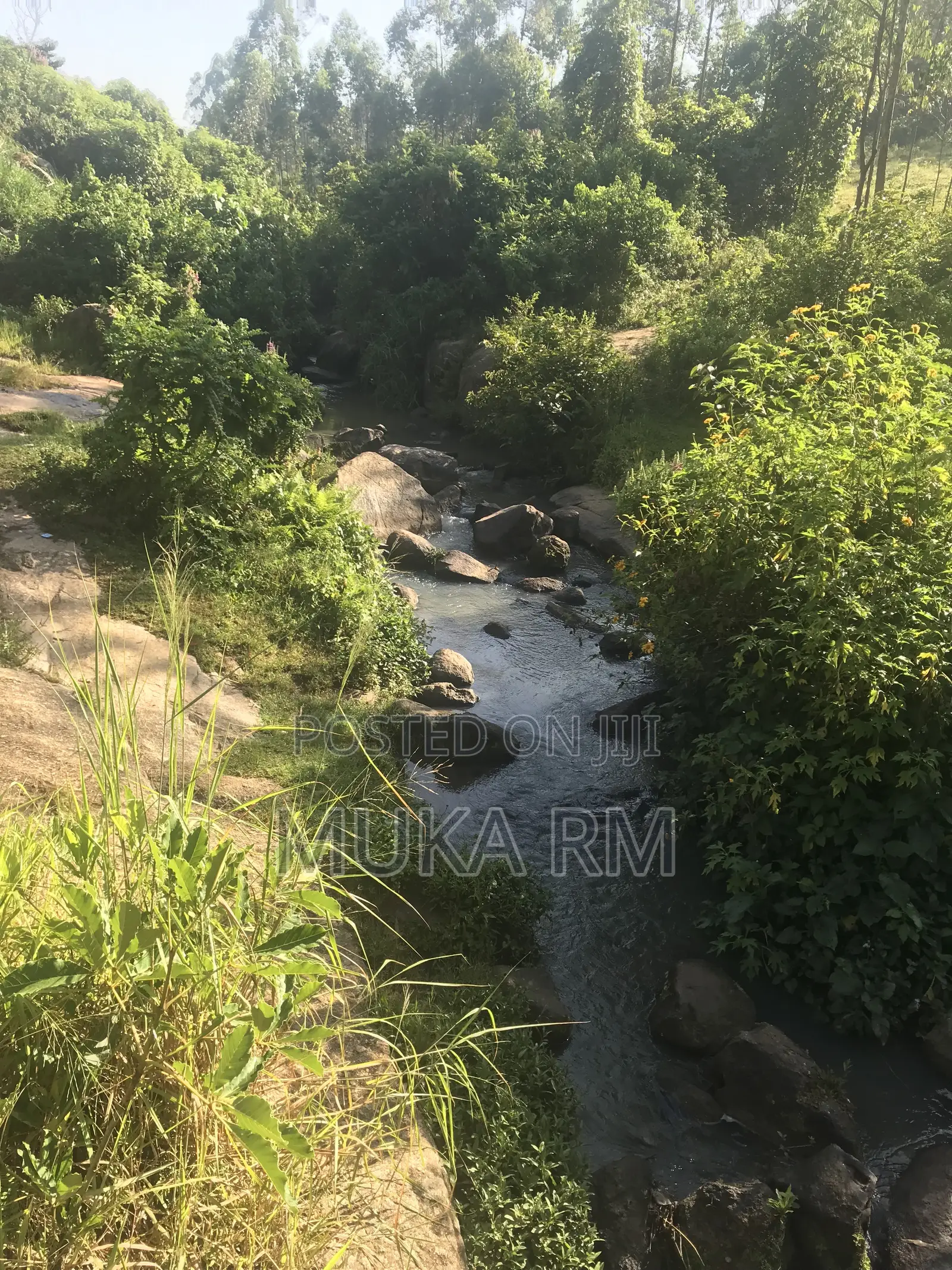 Prime Land for Sale - Kakamega/Mumias RD