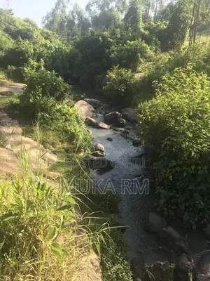 Prime Land for Sale - Kakamega/Mumias RD