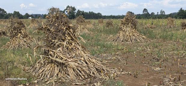2.5 Acres Touching Highway Cheptiret Eldoret